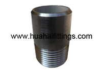 ANSI/ASME B1.20.1 Stainless Steel Welding Nipple 1/2"